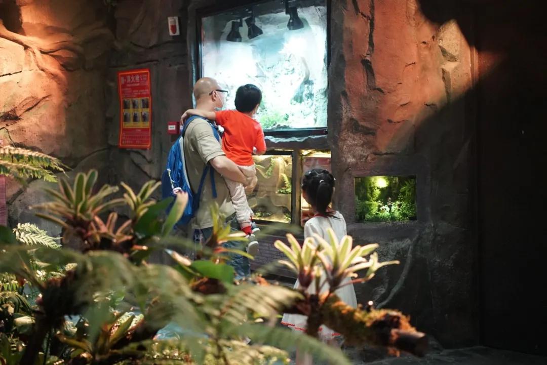 占地30000㎡！这艘建在安华汇天台上的巨船，竟是亲子乐园