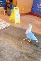 设计师脑洞大奇葩设计,脑洞大的设计师奇葩设计