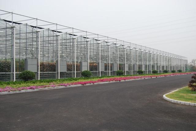 你见过高端玻璃温室大棚吗,现代农业玻璃温室大棚简介