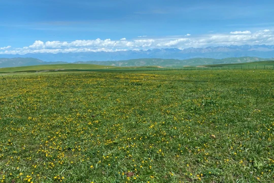 那拉提草原旅游徒步攻略,如何游玩那拉提