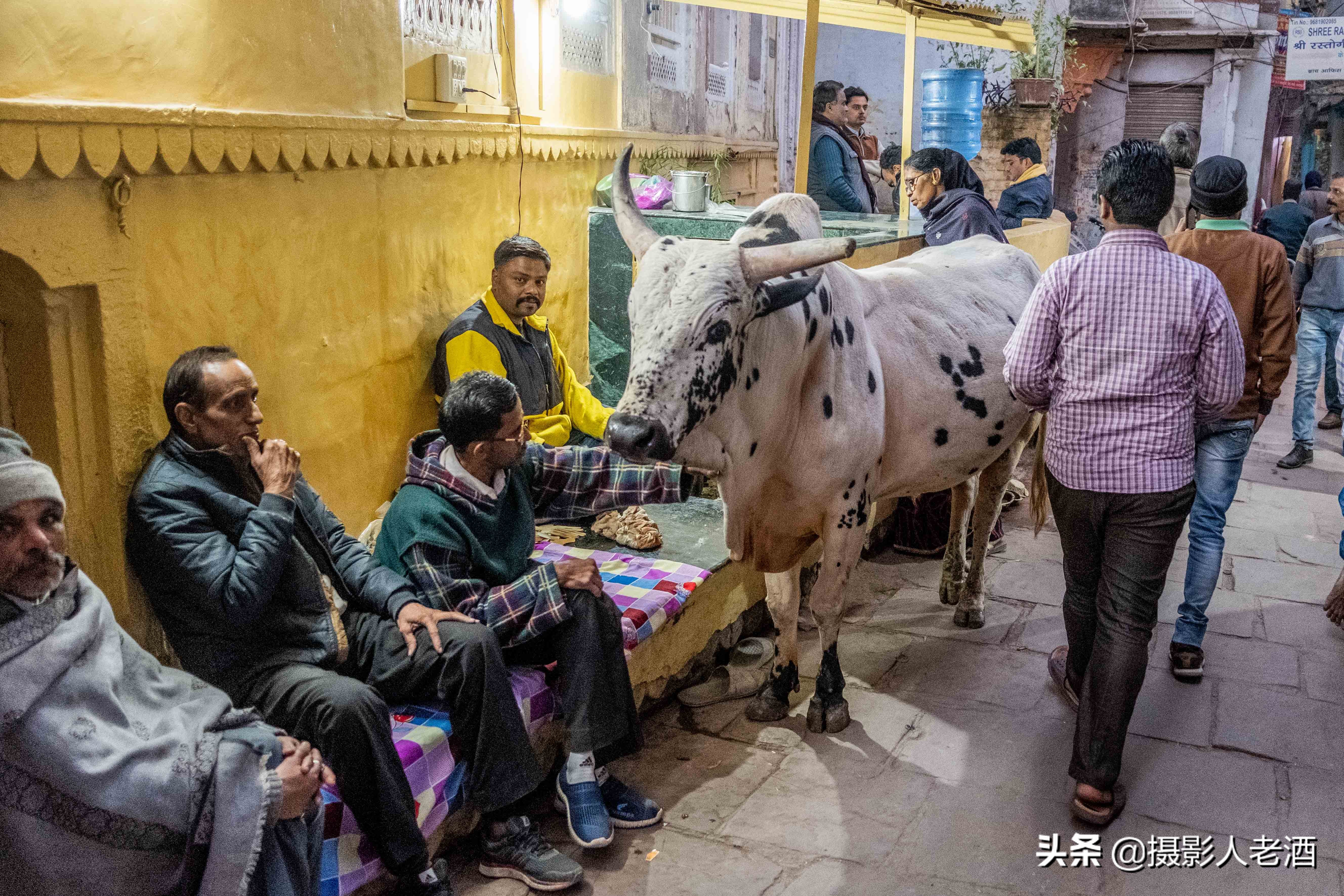 印度的印度教人吃牛肉吗,印度教不吃牛肉的原因