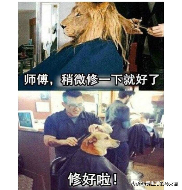 各大品牌发泥推荐,发泥推荐前十名评测