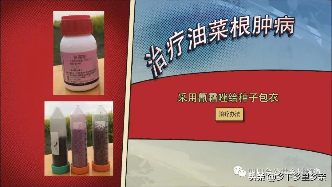 油菜得了病用什么药,油菜生病了怎么防治