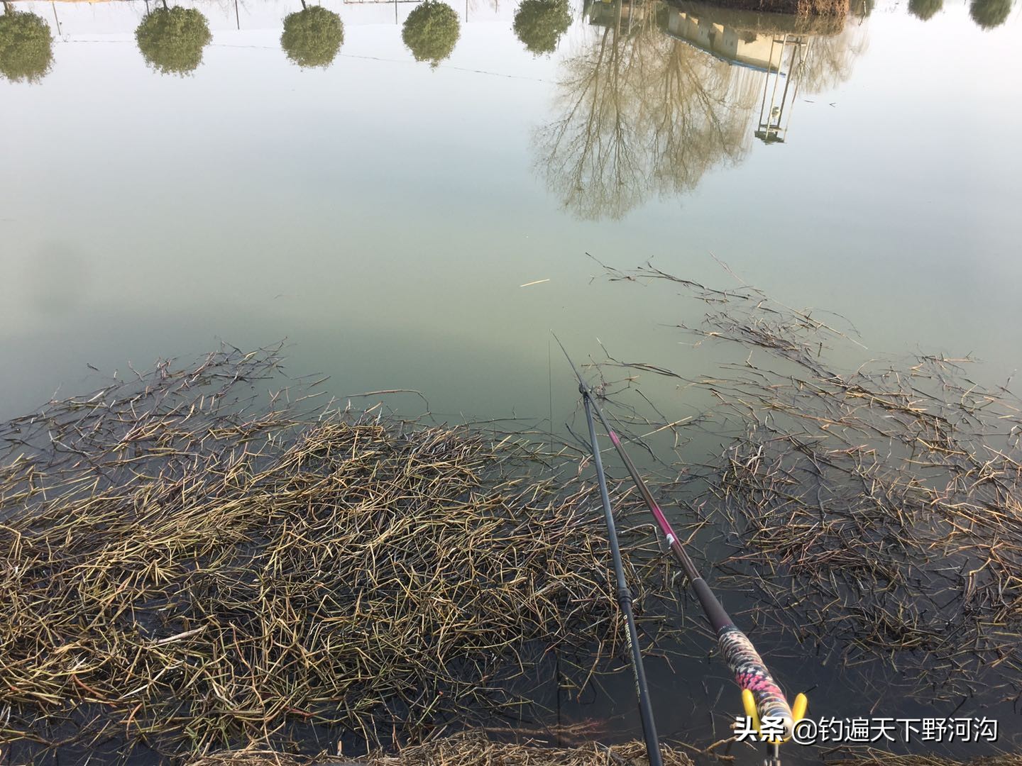 楸肩闀跨煭涓庨奔婕傚悆閾呴噺濡備綍鎼厤,楸肩闀跨煭璺熸诞婕傚悆閾呰鎬庝箞鎺屾彙