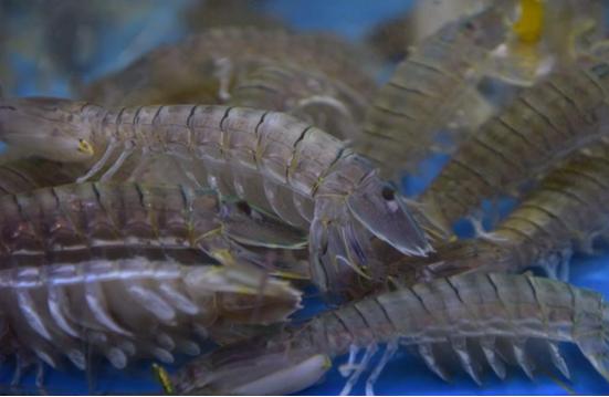 广西钦州碧桂园红树湾房价,钦州市碧桂园红树湾6号楼80平