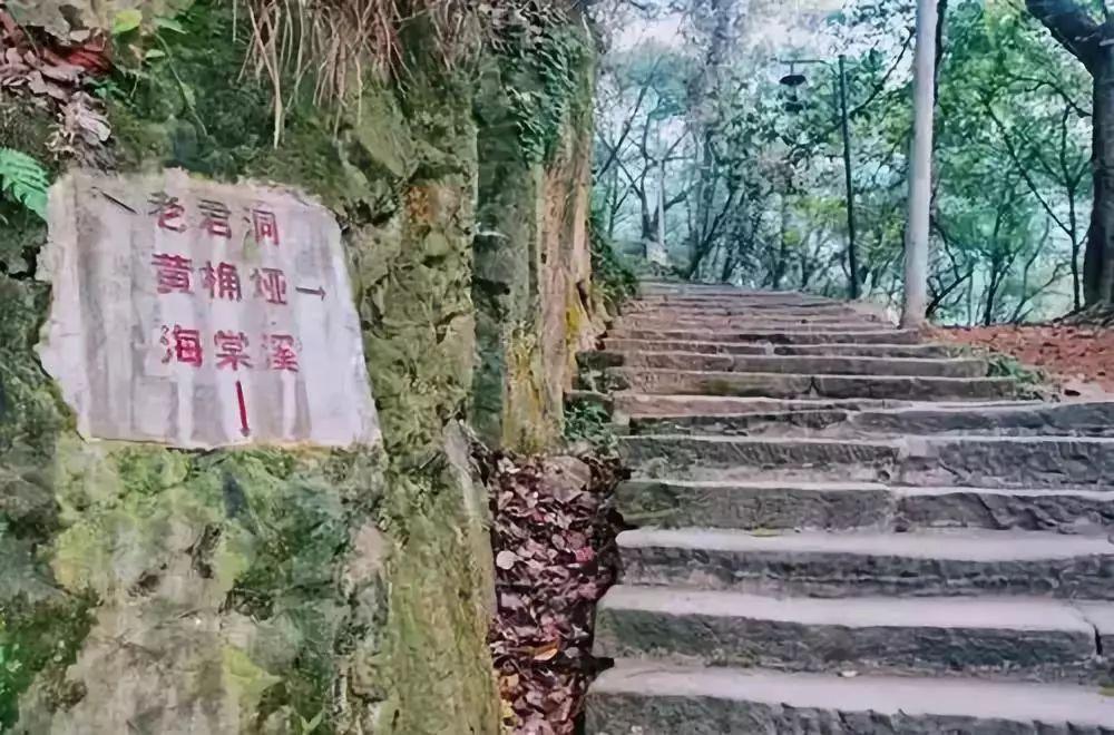 假期到处堵,周末双休哪里旅游堵