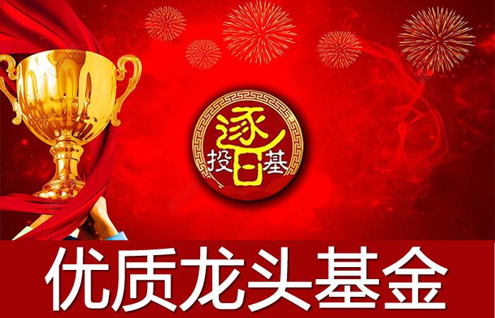 各板块龙头基金一览表2020,各类型行业板块优质龙头基金