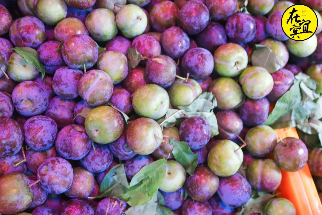 川南小吃之最宜宾燃面,宜宾燃面最好吃的一家