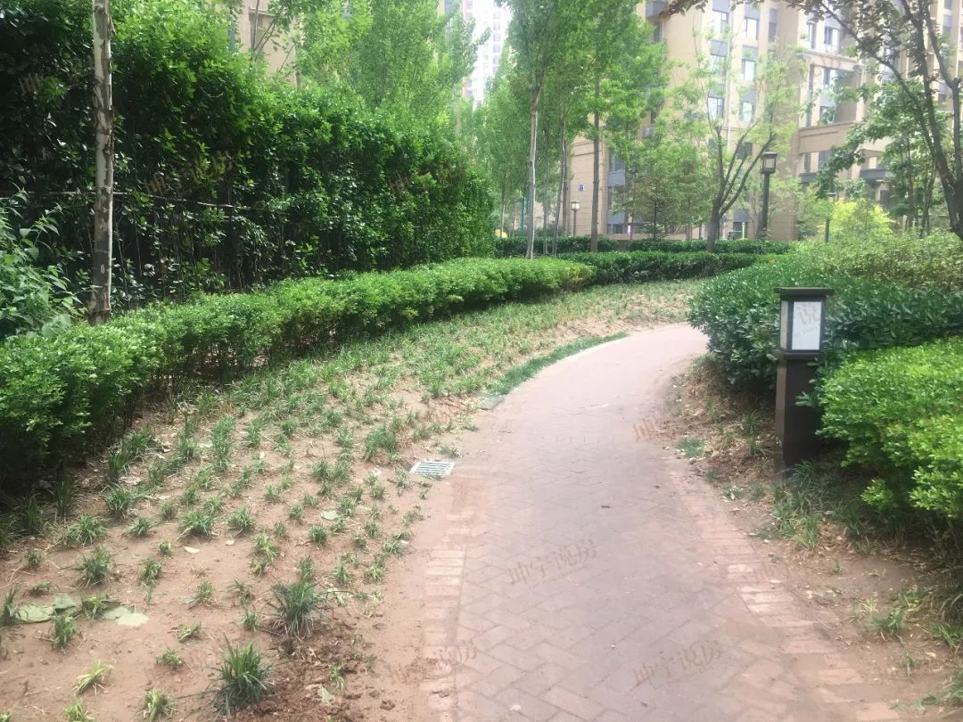 长安区哪个楼盘值得入手,长安板块楼盘有哪些好点