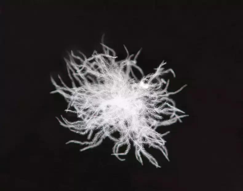 羽绒服也能穿出时髦感,羽绒服这样穿时髦温暖还显瘦