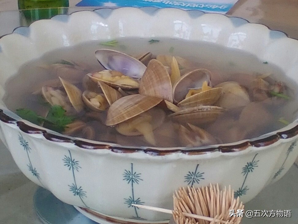 好吃的贝类品种大全,青岛贝类海鲜有哪些品种