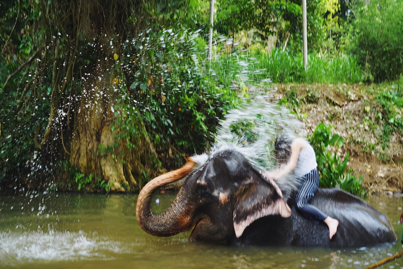 斯里兰卡攻略图片,攻略斯里兰卡旅游最省费用的路线