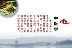 中华医学视频,伟大的中医灿烂的文化