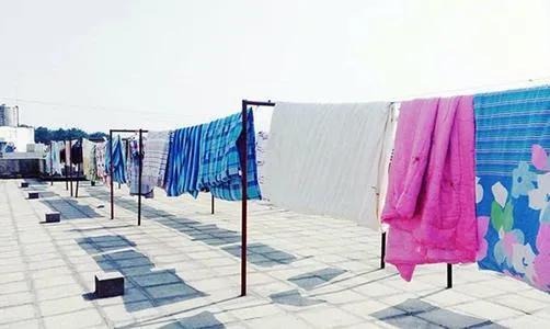 床单睡久了容易螨虫成窝？教你一新招，比太阳暴晒效果好