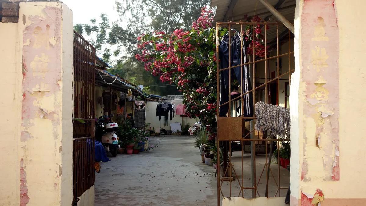 侨港边上的大、小老虎村，房租很低但住的人却很少，如今面临改造