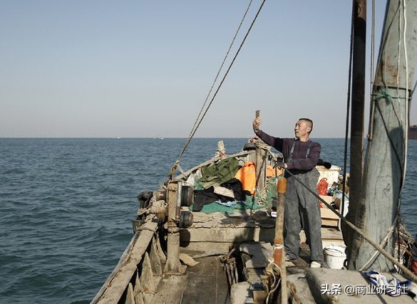 渔民直播卖虾,小渔村卖海鲜一年赚50亿