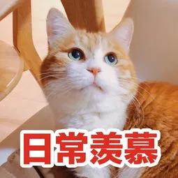 昆山中小学放假时间,昆山劳动局放假通知