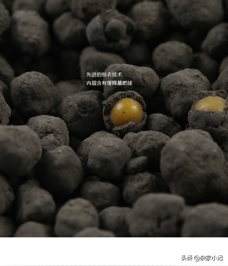 草缸基肥用法和用量,草缸基肥施用的正确方法