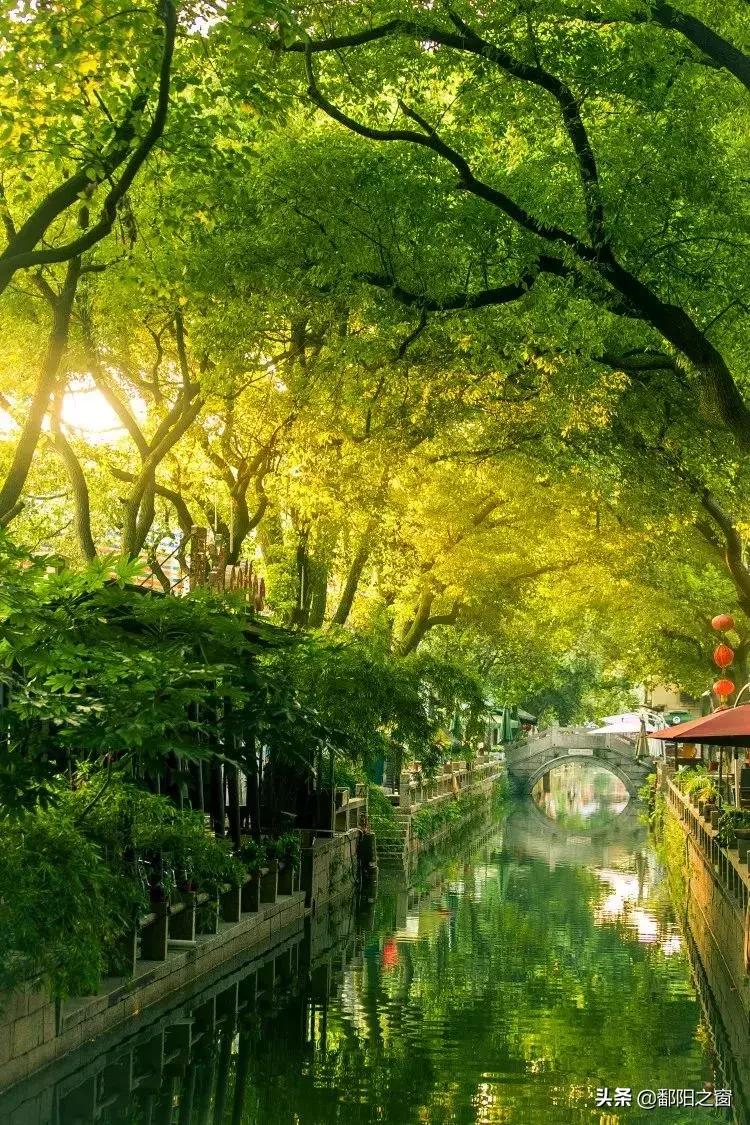 苏州同里附近好玩的地方推荐,苏州打卡同里古镇
