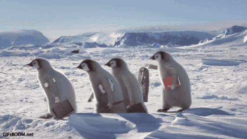 15个有关冬天的英文美句，温暖你的心