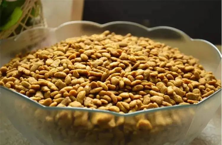 养小猫攻略,养2个月小猫攻略