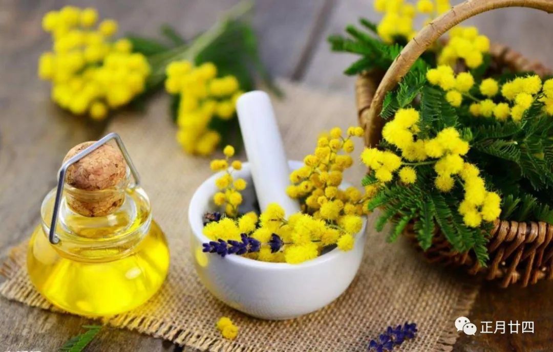 精油是什么东西有什么功效,精油是什么