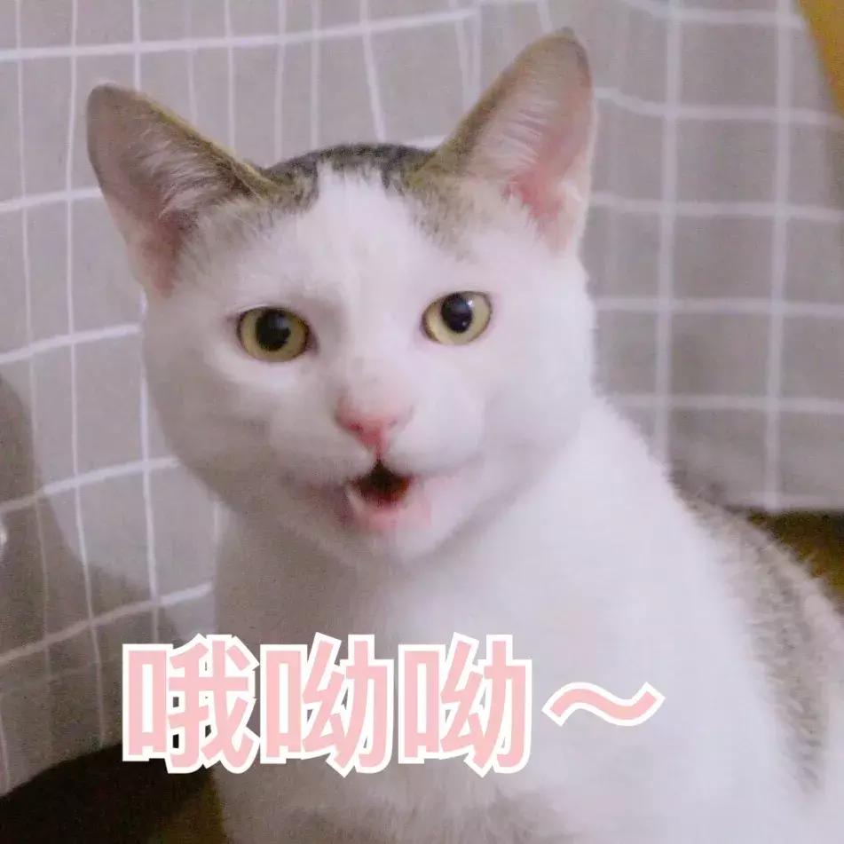 我的年度爱用饰品分享,我的年度爱用物品