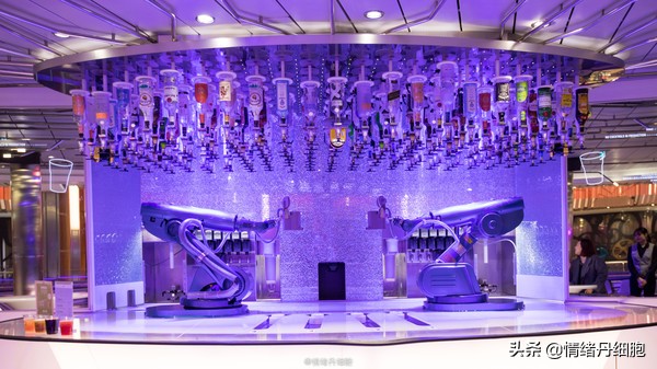 邮轮游选择哪个游轮好,邮轮旅游全攻略公主号