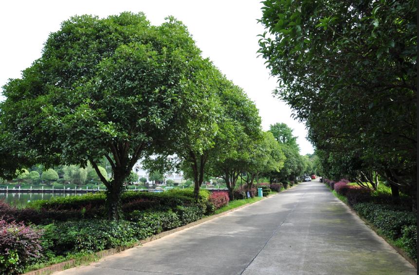 美丽乡村：室外桃源休闲山庄，一步一景美如画