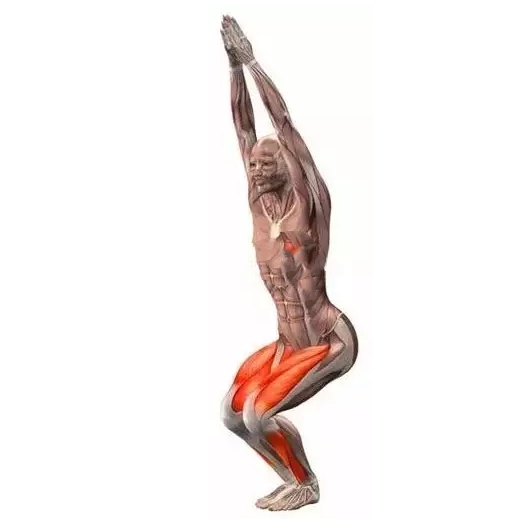 不懂健身动作练到的肌肉,锻炼髂腰肌最有效方法图解