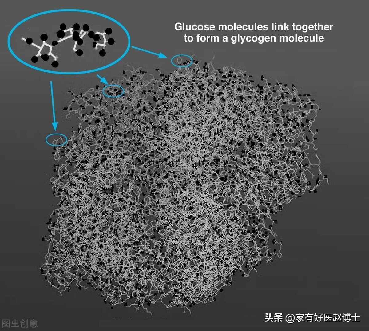 体重一直下降是胰岛素抵抗吗,体重总是增长