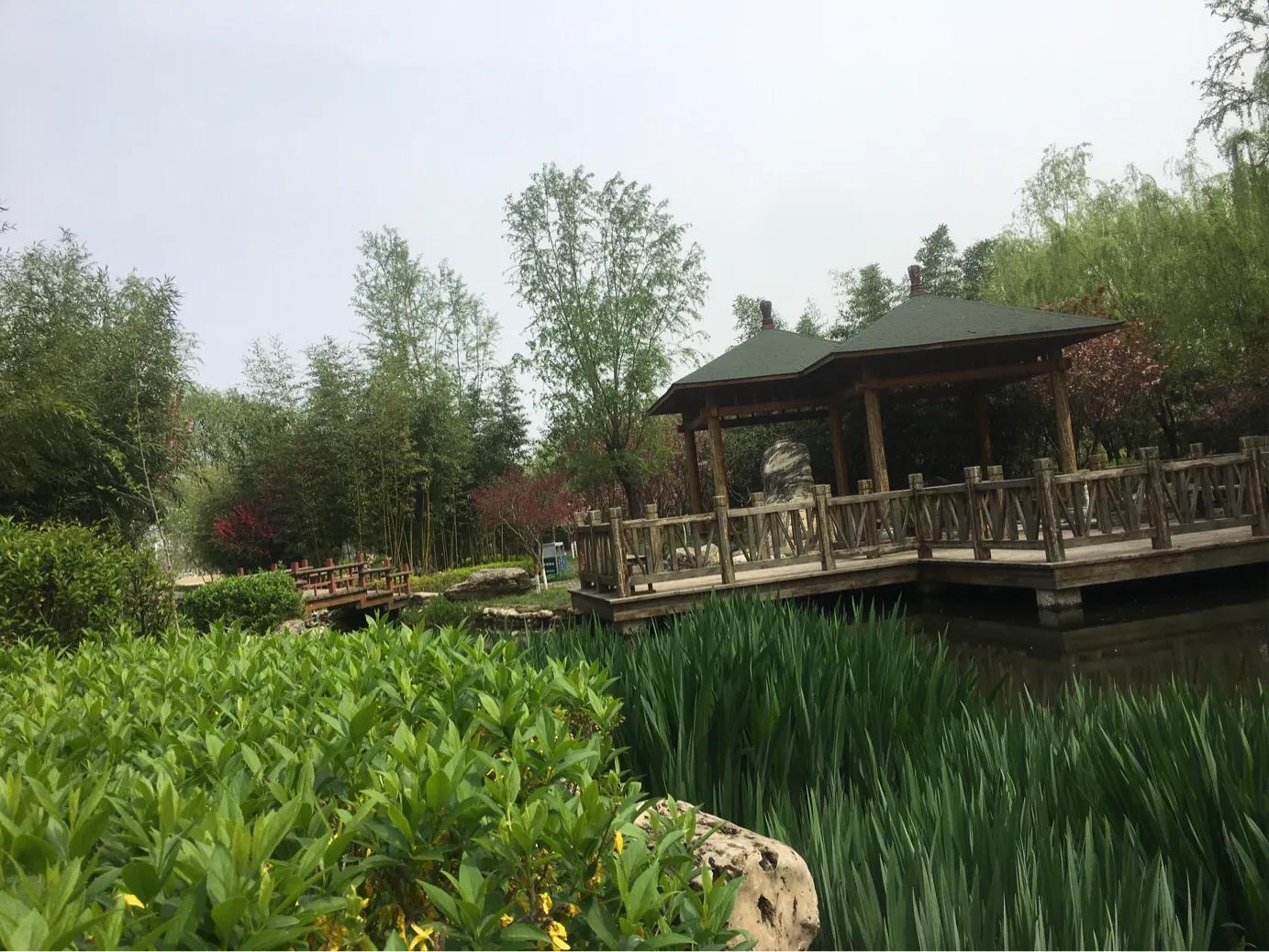 行走在路上的歌曲,行走在路上的真实图片