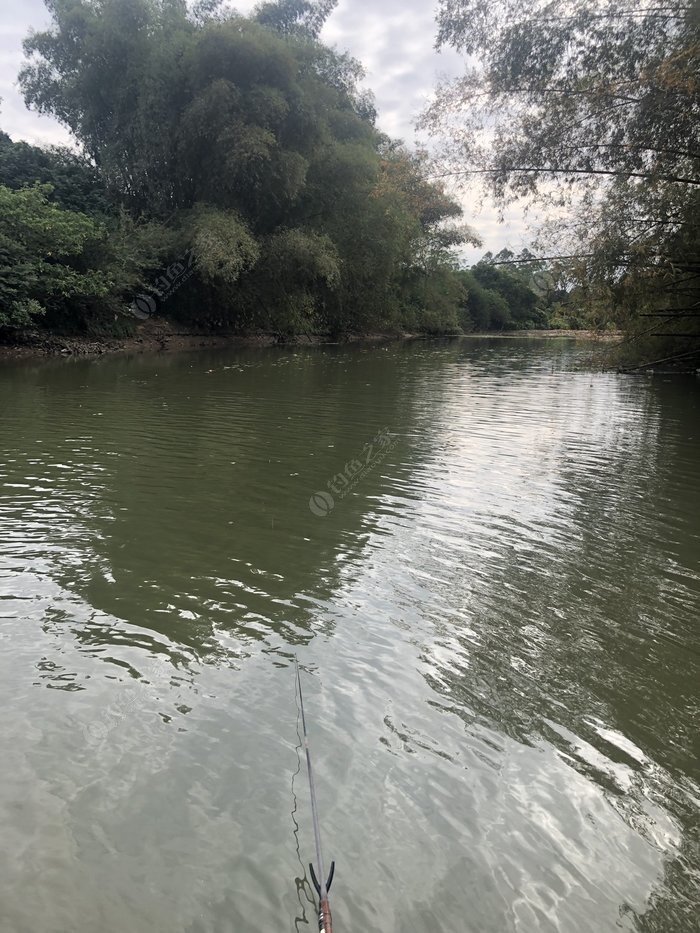 水底小鱼多就会没大鱼,自然水域没鱼情