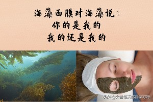美容院用的淡斑面膜海藻,海藻面膜保湿美白