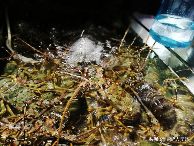 海南亲测攻略,自驾海南最美十条公路