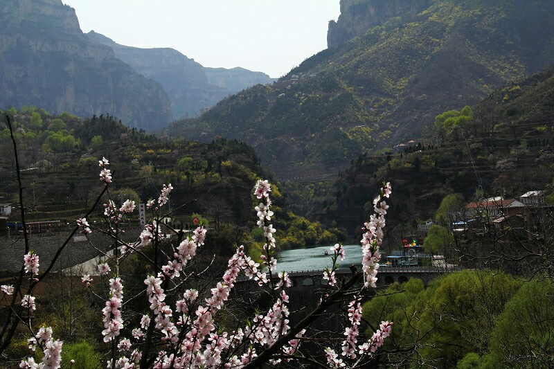 春天花儿开春意正香浓是什么意思,桃花朵朵开春意浓