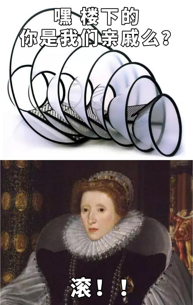 给猫戴上脖圈之后很低落,为什么给猫戴上猫圈就安静了