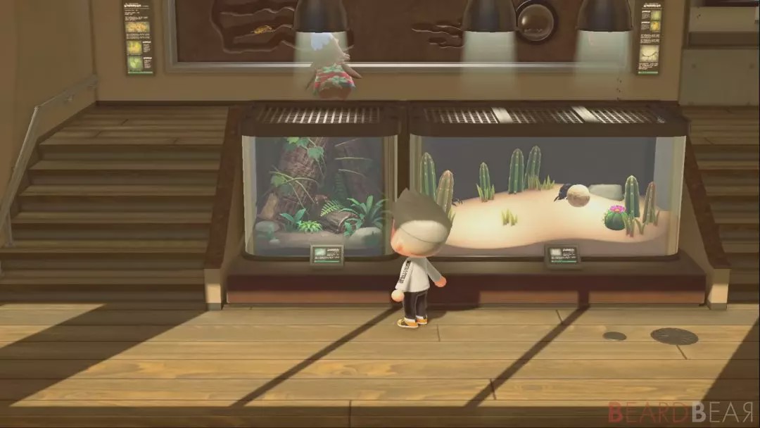 动森最新消息,动森为什么那么火