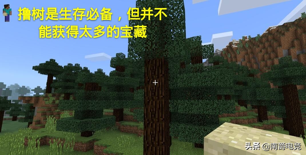 我的世界那些让老玩家懵逼的瞬间,我的世界大神给萌新的五大忠告