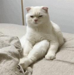 江门市二手房新政策,外地人在江门买房的忠告