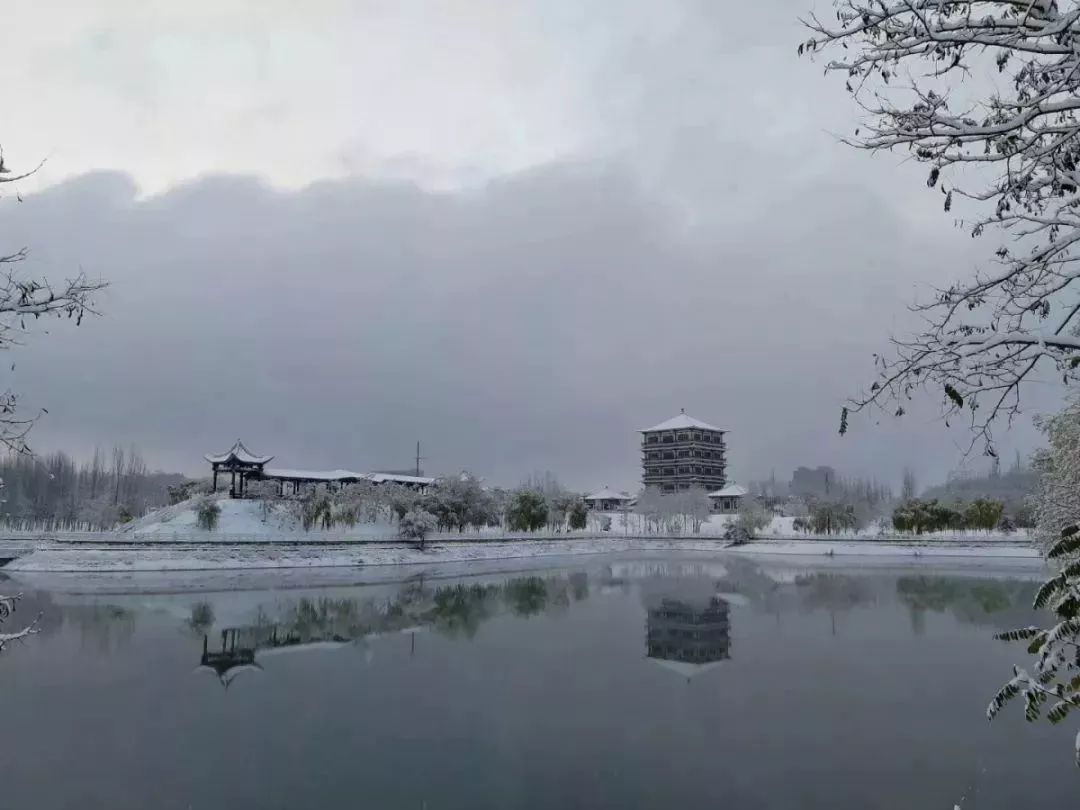 美爆了！让全世界听到，我的名字叫白银！！！