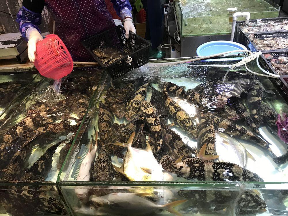 海鲜防被坑,海鲜忌吃什么