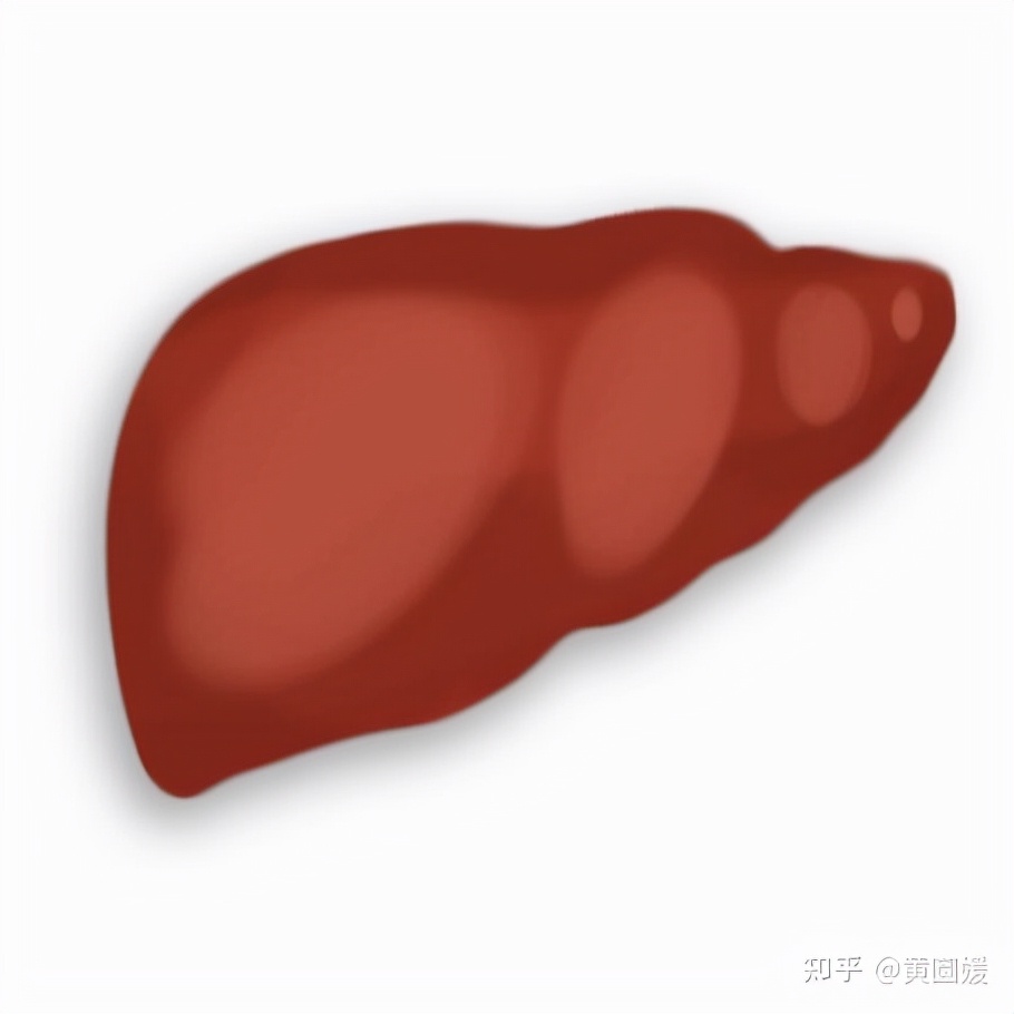 功能医学营养素,功能医学与中医的区别