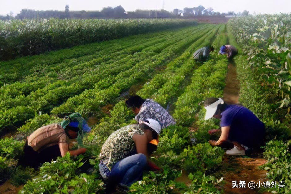 适合小投资的创业项目穷人首选,适合县城创业的小项目低门槛