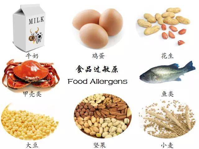 过敏体质的宝宝如何添加辅食,过敏体质的孩子如何添加辅食
