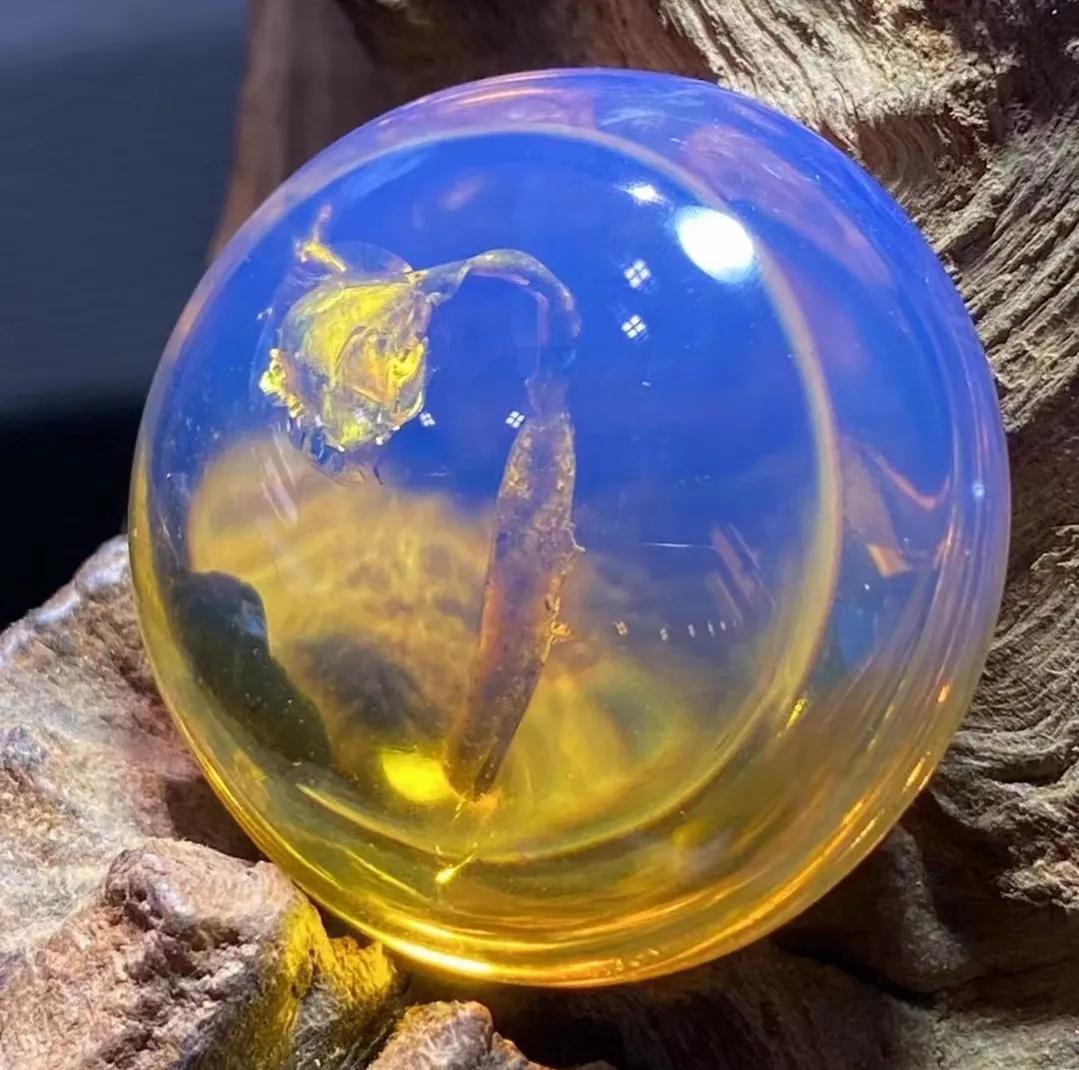 缅甸水胆琥珀收藏价值,缅甸琥珀根珀价格收藏价值