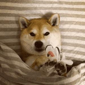 维生素e和c可防癌抗癌吗,维生素e有防癌抗癌的功效吗