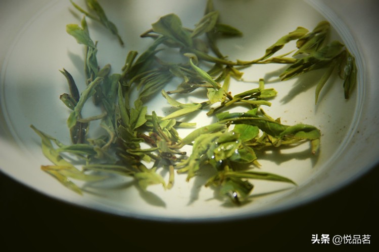 黄山毛峰如何冲泡,新茶毛峰和陈茶毛峰冲泡对比