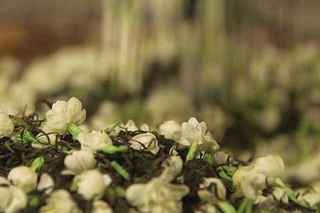 张一元茉莉花茶哪一款口粮最好喝,茉莉花茶张一元怎么样