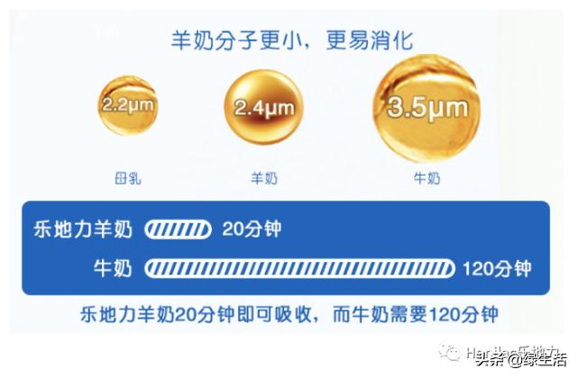 初生婴儿喝羊奶粉好还是牛奶粉好,婴幼儿奶粉羊奶粉好还是牛奶粉好
